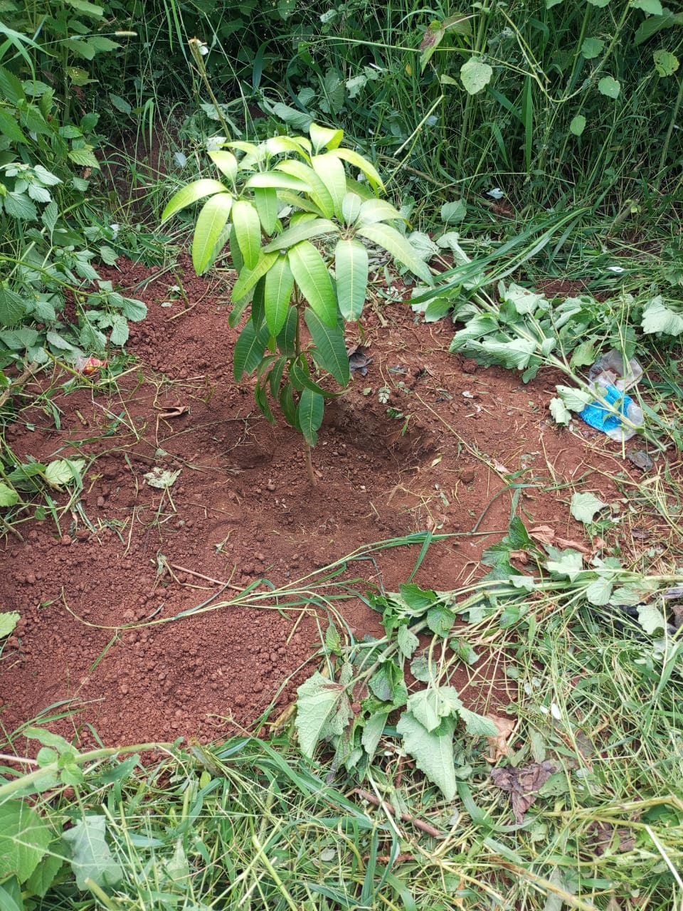 WhatsApp Bild 2025 07 06 um 16.29.50 58a195b0